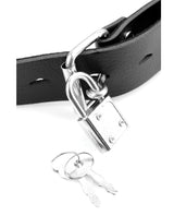 Deluxe Ball Gag w/Dong