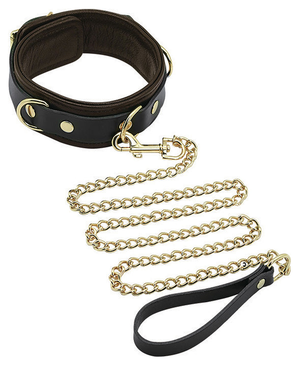 Collar & Leash