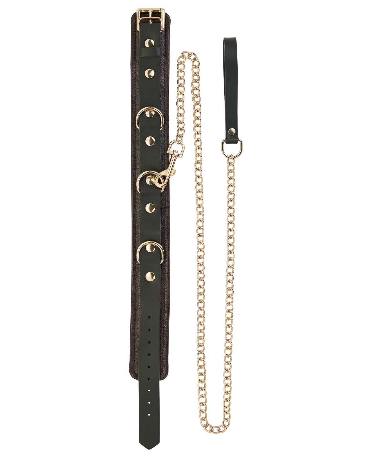 Collar & Leash