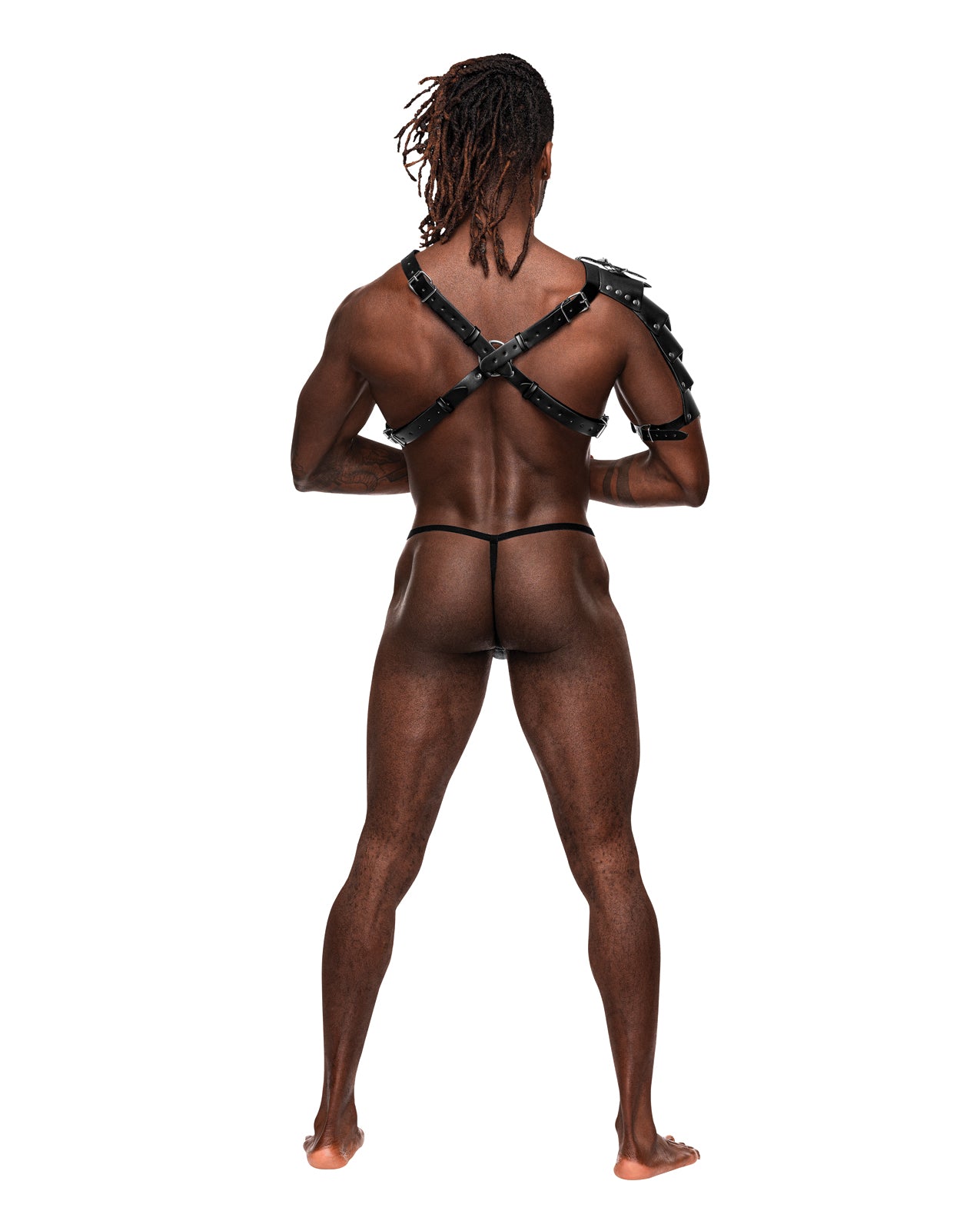 Aquarius Harness