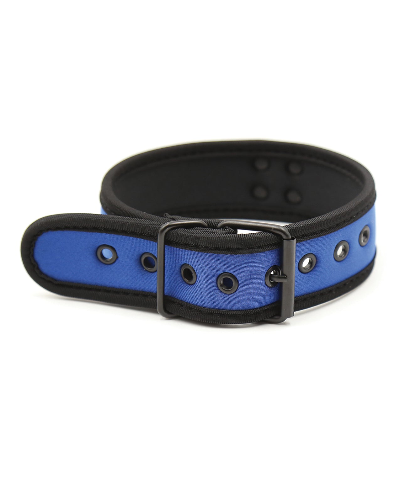 Puppy Collar