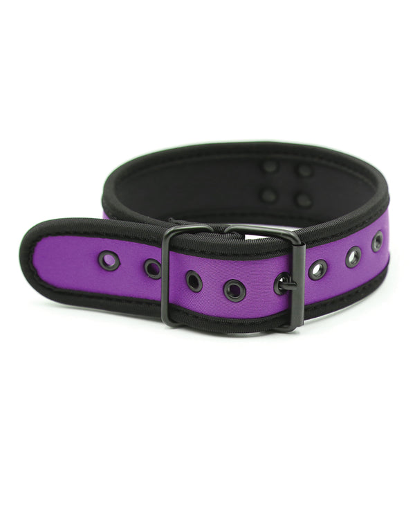 Puppy Collar