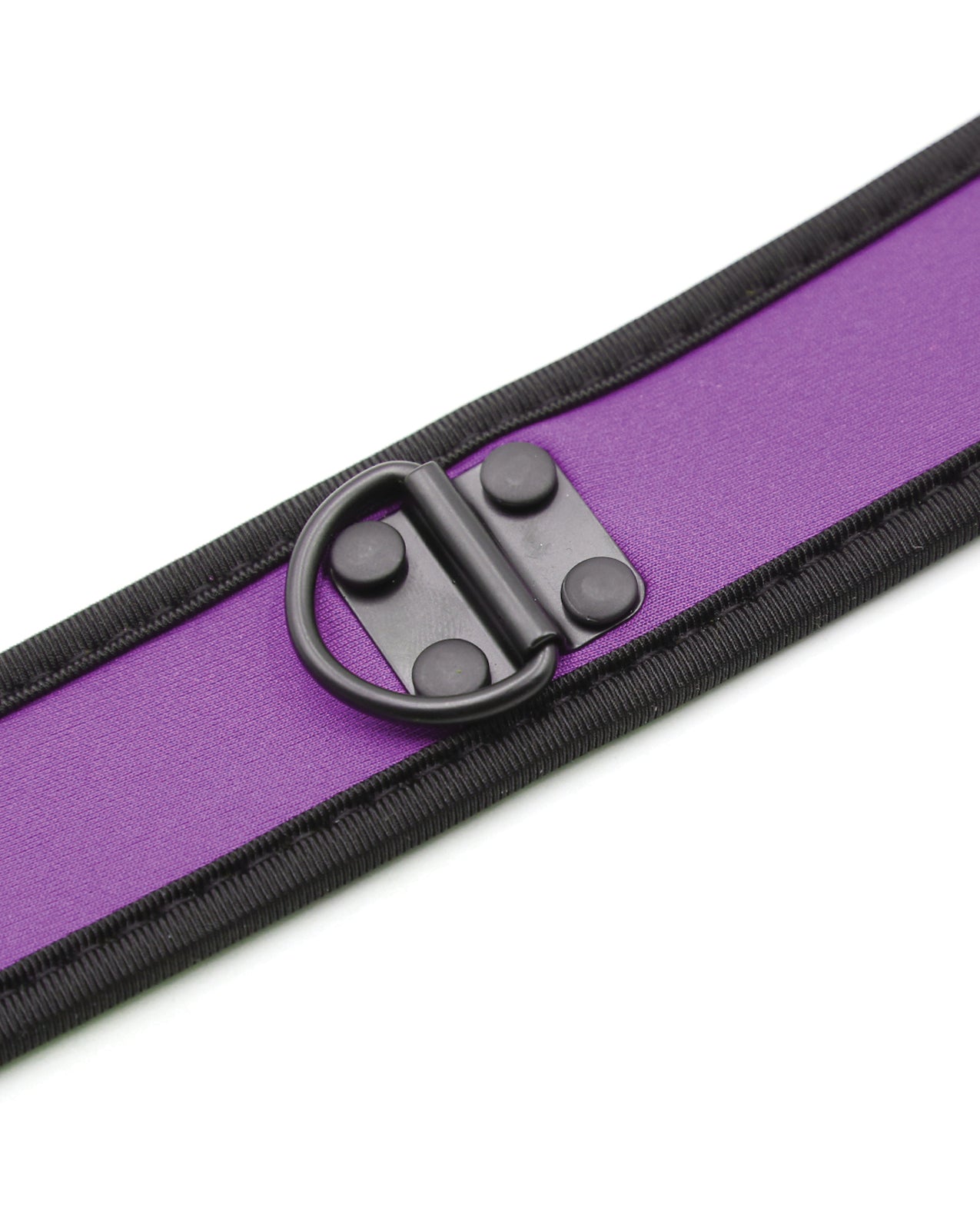 Puppy Collar