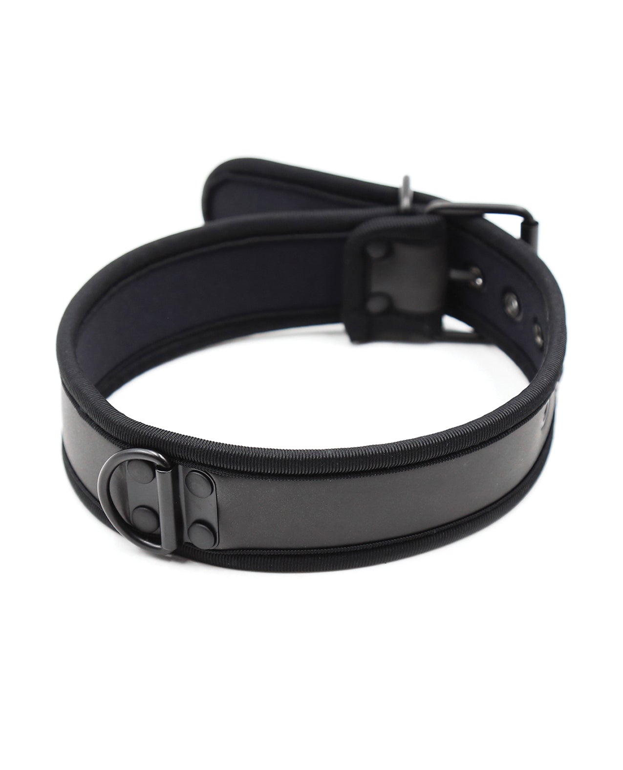 Puppy Collar