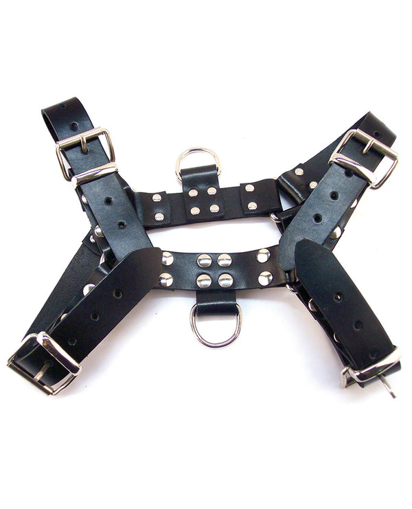 Over Head Harness