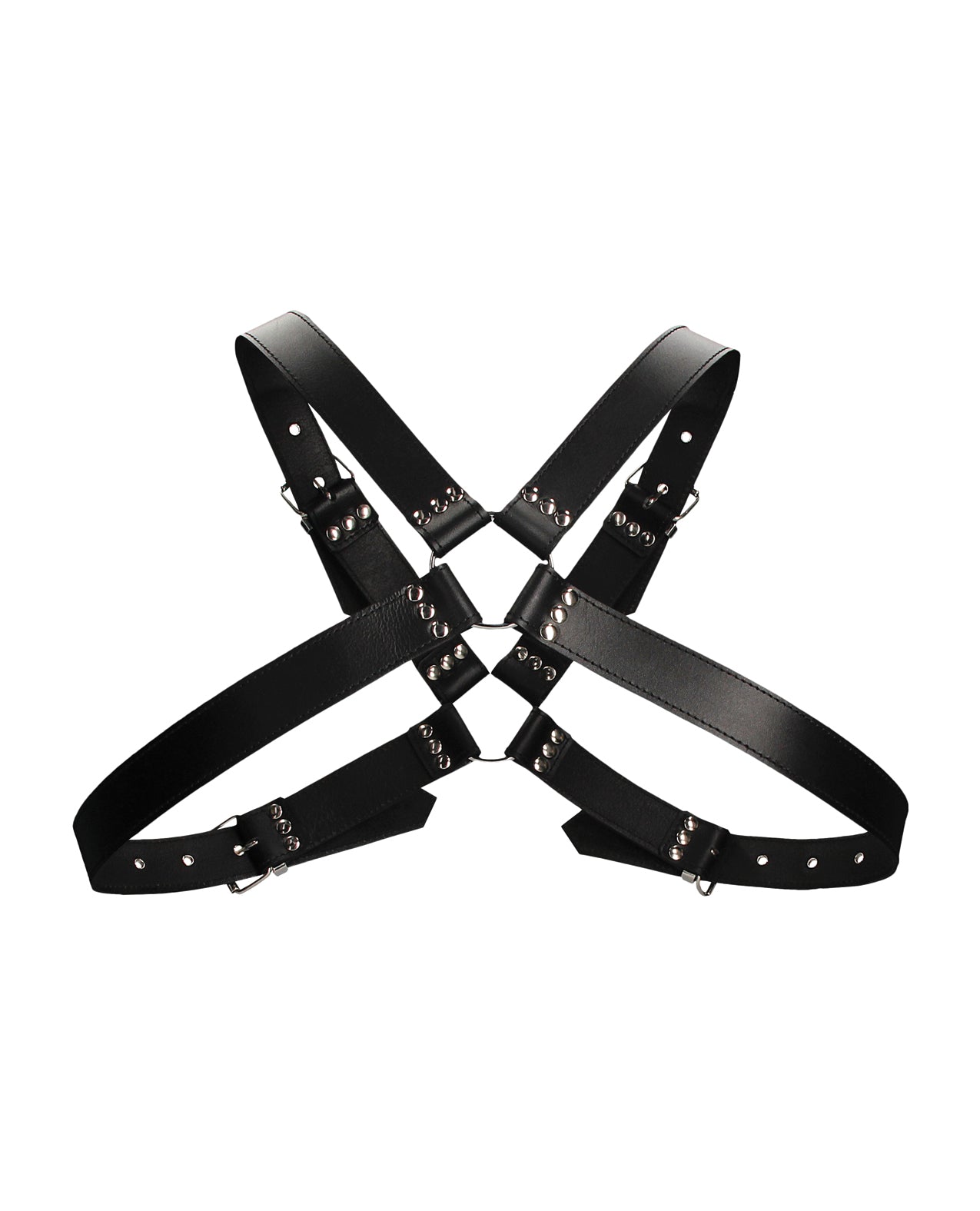 Buckle Harness