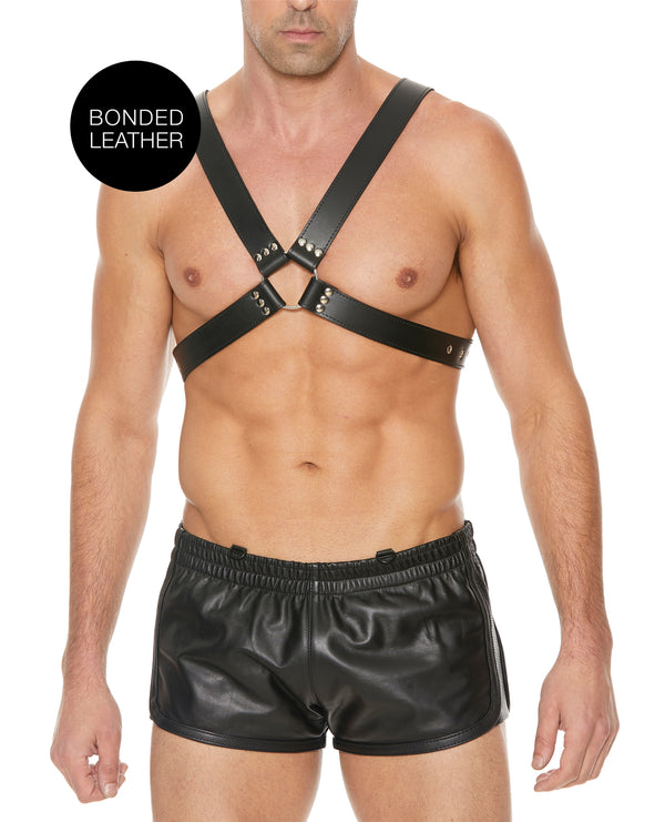 Buckle Harness