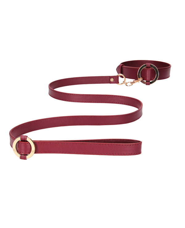 Halo Collar & Leash