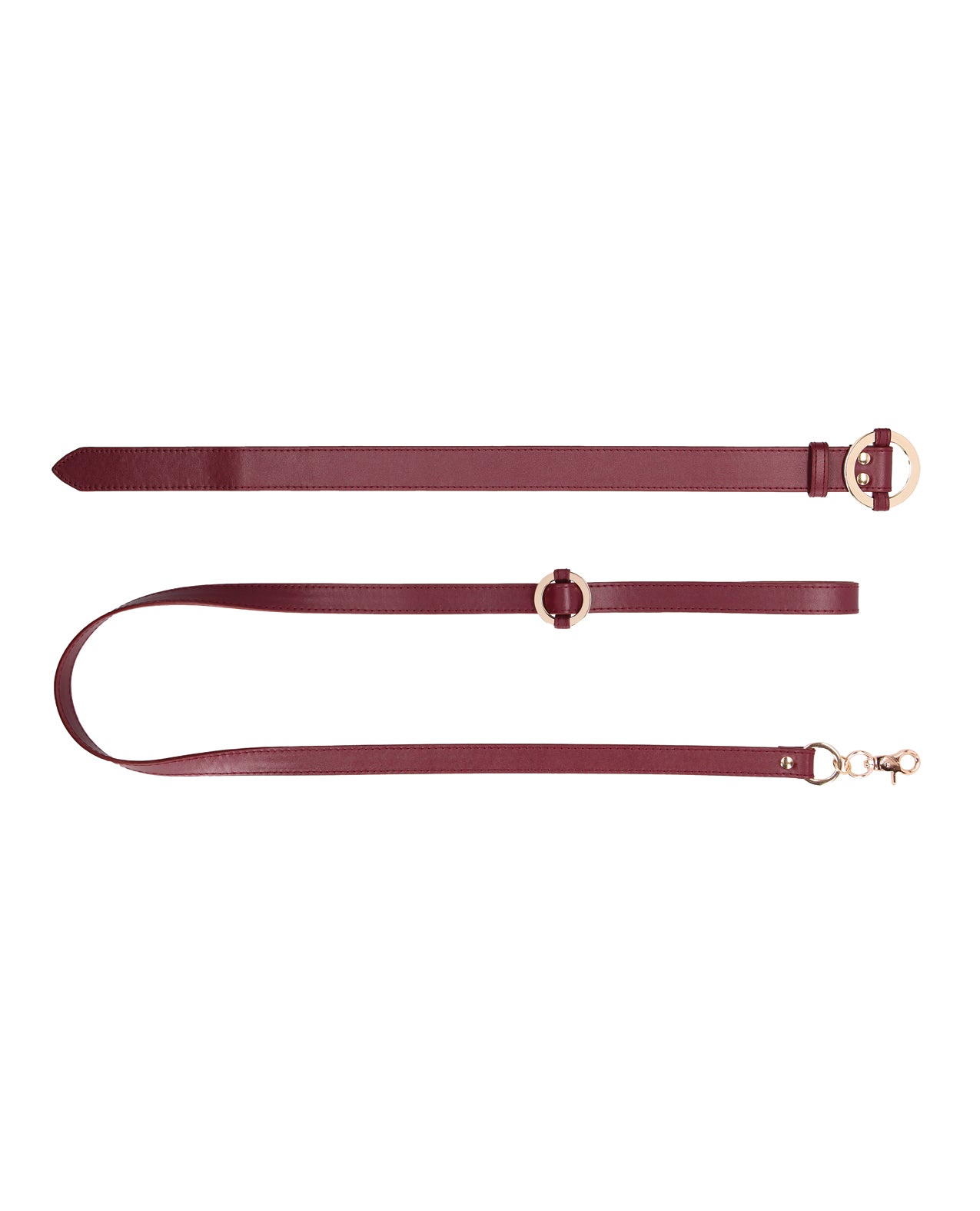 Halo Collar & Leash
