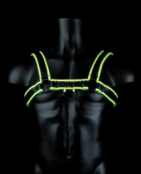 Glowing Bulldog Harness