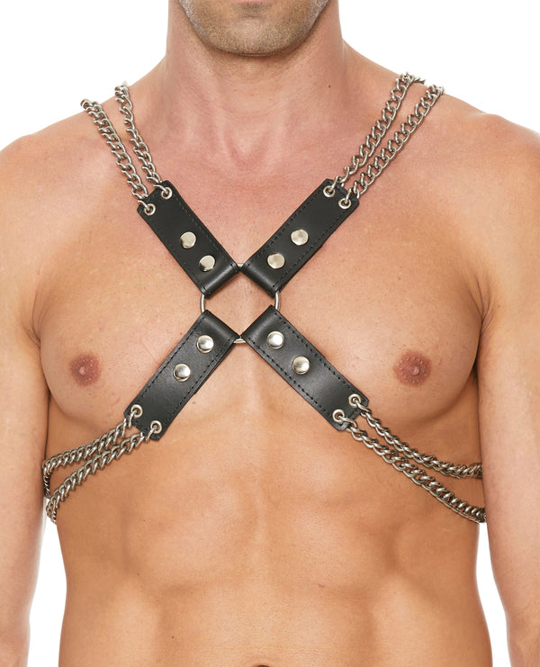 Chain & Chain Harness