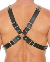 Chain & Chain Harness