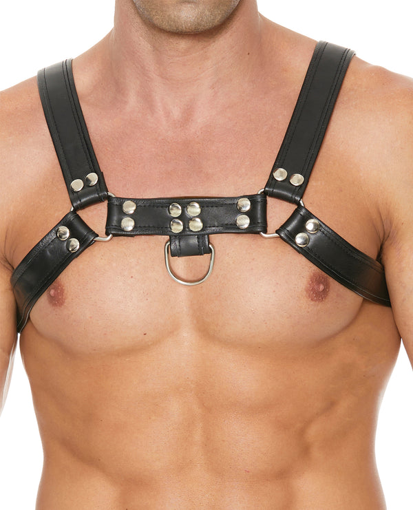 Bulldog Harness