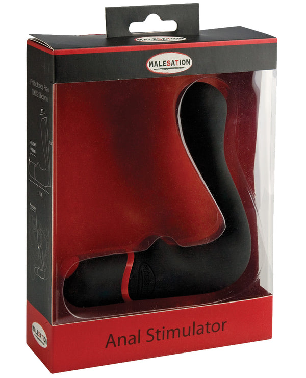 Anal Stimulator